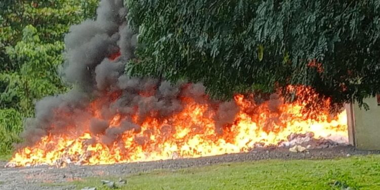 El Inacif quema más de tres toneladas de drogas incautadas en operaciones contra el narcotráfico