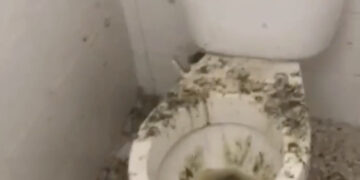 Estudiantes denuncian que deben hacer la limpieza en escuela de Villa Mella