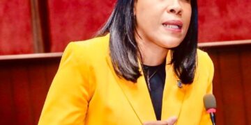 Diputada Kenia Bidó somete proyecto de ley para modificar la Ley de Rectificación Fiscal y beneficiar a la diáspora dominicana