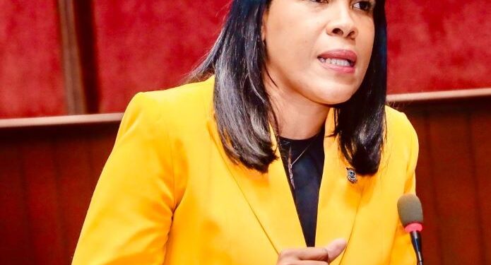 Diputada Kenia Bidó somete proyecto de ley para modificar la Ley de Rectificación Fiscal y beneficiar a la diáspora dominicana
