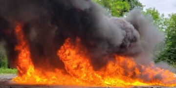 El Inacif quema 648 kilogramos de drogas incautadas en recientes operativos contra el narcotráfico