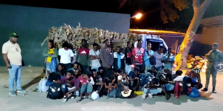 Arrestan camionero llevaba 35 haitianos indocumentados camuflados bajo hojas de plátano en Mao