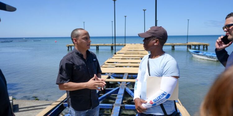 APORDOM inicia trabajos de mantenimiento del muelle turístico y pesquero de Palenque