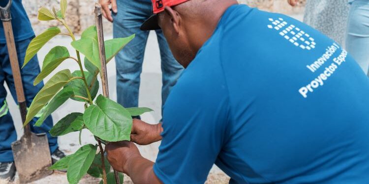 Alcaldía del DN celebra el Día Nacional del Árbol con plantación de 70 árboles en Renacimiento