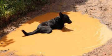 Constructora RASS en el centro de críticas por incumplimiento en carretera La Melliza en Monte Plata