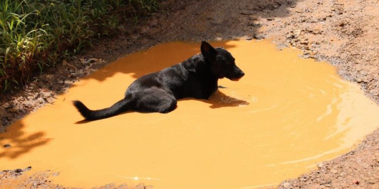 Constructora RASS en el centro de críticas por incumplimiento en carretera La Melliza en Monte Plata