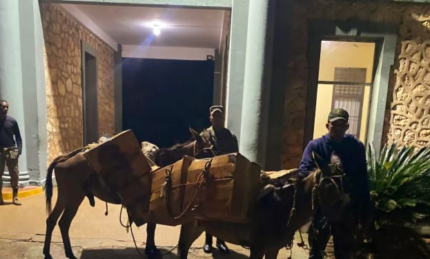 Ocupan contrabando de más de 224 mil cigarrillos abandonados en unos matorrales en Dajabón y Elías Piña