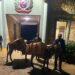 Ocupan contrabando de más de 224 mil cigarrillos abandonados en unos matorrales en Dajabón y Elías Piña
