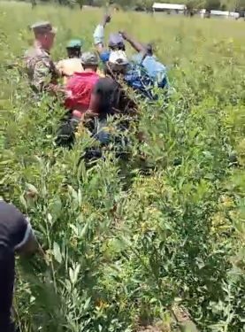 Apresan grupo de inmigrantes indocumentados escondido en matorrales en San Juan de la Maguana