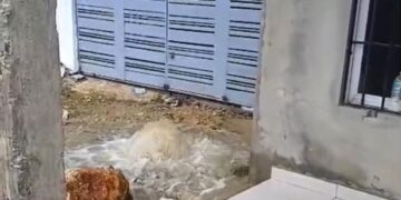 Camión privado perfora tubería del acueducto Barrera de Salinidad y obliga a interrumpir el suministro de agua en SDE