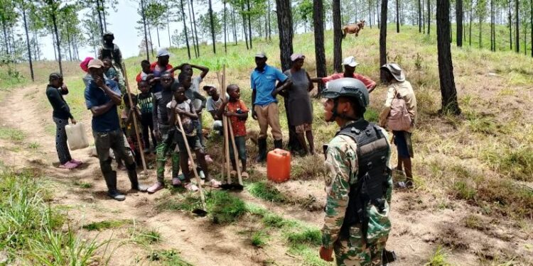 Ejército detiene haitianos indocumentados por depredación al medio ambiente en Dajabón