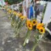 Alcaldía del DN coloca nuevas flores y renueva altar de Jet Set previo a cumplirse segundo mes de la tragedia