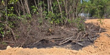 Ministerio Público paraliza proyecto inmobiliario en Samaná por daños al medio ambiente