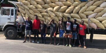 Ejército detiene camión con haitianos indocumentados ocultos entre sacos de paja de arroz en Hatillo Palma