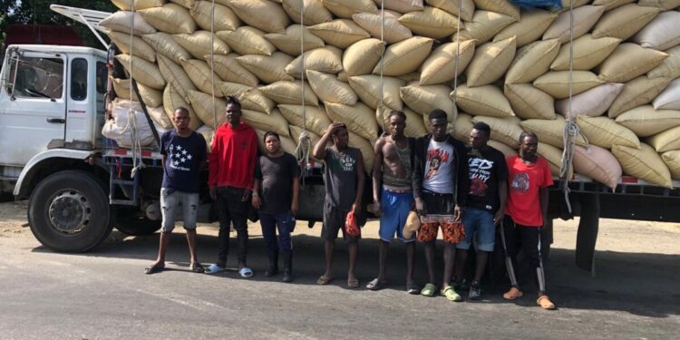 Ejército detiene camión con haitianos indocumentados ocultos entre sacos de paja de arroz en Hatillo Palma