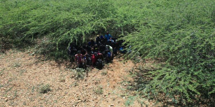 Ejército localiza y detiene a 36 haitianos durante operativo con unidades de drones en Guayubín, Montecristi