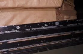 Ejército detiene más de 15 mil haitianos indocumentados operativos en la frontera durante el mes de agosto