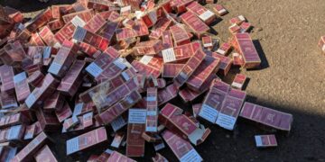 Más de 14 mil indocumentados detenidos en septiembre durante operativos del Ejército de República Dominicana