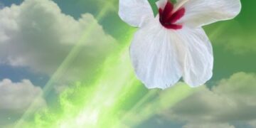 Las perspectivas políticas para 2028