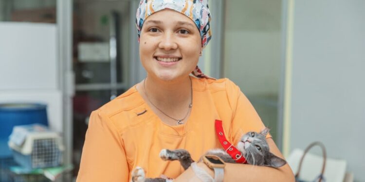 Alcaldía del DN realiza jornada gratuita de esterilización y vacunación de perros y gatos