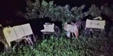 Ejército incauta 320 mil cigarrillos ilícitos en una zona montañosa de Elías Piña