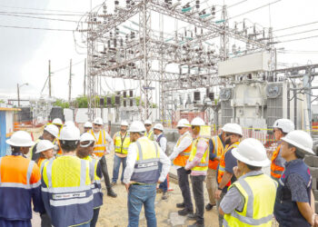 Evalúan satisfactoriamente la gestión socioambiental en programas de expansión de redes y eficiencia energética