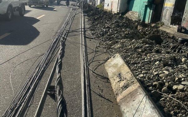 Edesur trabaja para reponer postes derribados durante excavaciones en Villa Altagracia