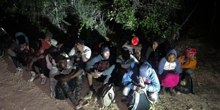 Ejército detiene a conductor con indocumentados y arresta a otros 17 nacionales haitianos en una zona boscosa de Montecristi