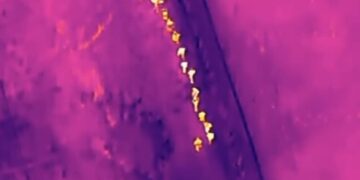 Ejército localiza con drones grupo de haitianos indocumentados en una vivienda en construcción en Dajabón