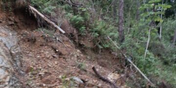 Autoridades  de Villa Los Almácigos denuncian tala indiscriminada de pinos y solicitan una inmediata intervención de las autoridades.