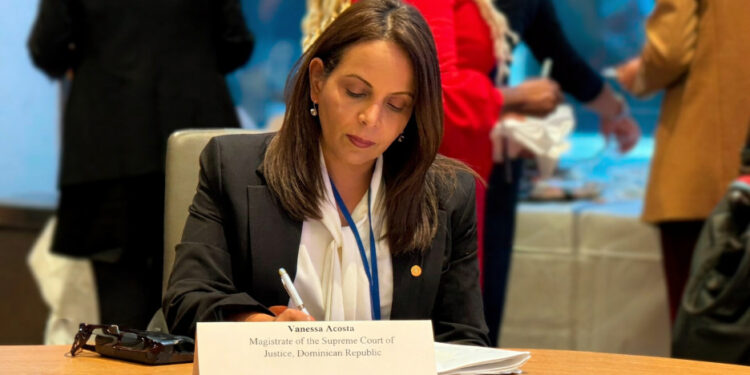 Poder Judicial dominicano presenta buenas prácticas con perspectivas de género durante sesión en las Naciones Unidas 