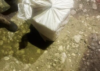 Ejército ocupa cuatro pacas de presunta marihuana abandonadas en zona fronteriza de Elías Piña