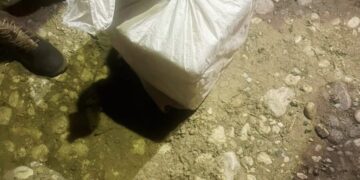 Ejército ocupa cuatro pacas de presunta marihuana abandonadas en zona fronteriza de Elías Piña