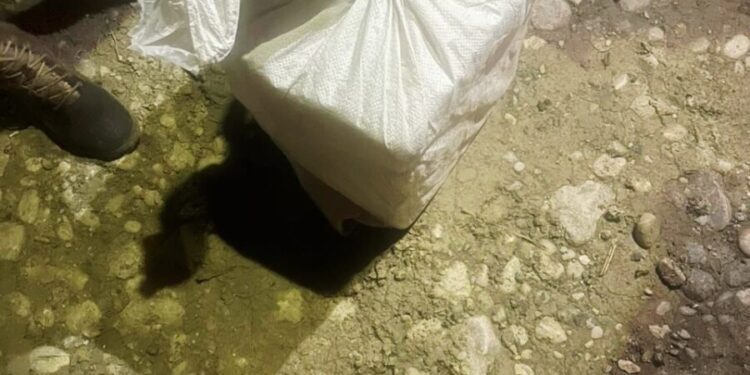 Ejército ocupa cuatro pacas de presunta marihuana abandonadas en zona fronteriza de Elías Piña