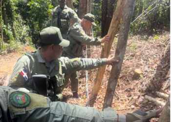 Autoridades destruyen parcelas ilegales en loma de Managua, Bayaguana, Monte Plata