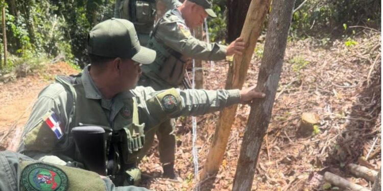 Autoridades destruyen parcelas ilegales en loma de Managua, Bayaguana, Monte Plata