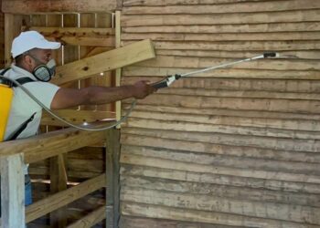 Expertos advierten sobre riesgos sanitarios tras recientes lluvias y recomiendan fumigación preventiva responsable