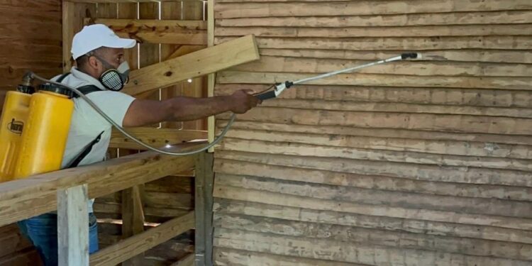 Expertos advierten sobre riesgos sanitarios tras recientes lluvias y recomiendan fumigación preventiva responsable