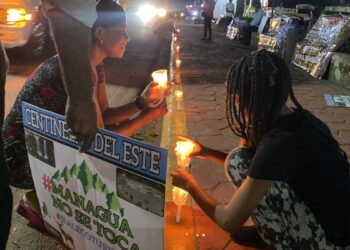 Centinelas del Este piden al presidente intervenir por devastación en la Loma de Managúa