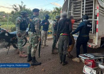 Operativos migratorios en todo el país dejan 983 detenidos y 868 deportados