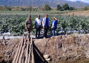 República Dominicana ejecuta la más grande y efectiva ofensiva de erradicación del Trabajo Infantil