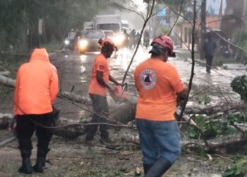 Senador Ricardo de los Santos anuncia llegada  de ayudas a zonas afectadas por ventarrón en Sánchez Ramírez