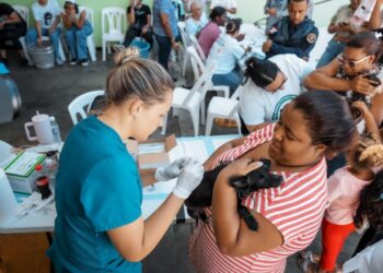 Alcaldía del Distrito Nacional esteriliza a 100 perros y gatos durante jornada de bienestar animal