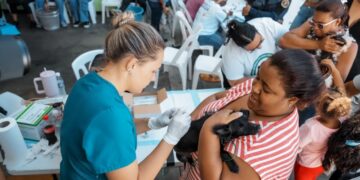 Alcaldía del Distrito Nacional esteriliza a 100 perros y gatos durante jornada de bienestar animal