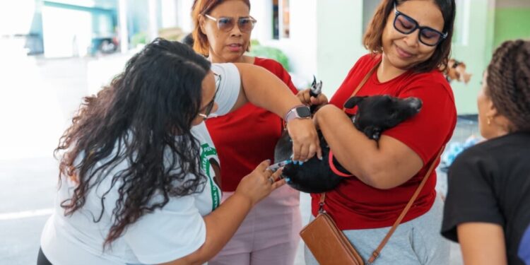 Alcaldía del Distrito Nacional continúa jornadas de esterilización de perros y gatos