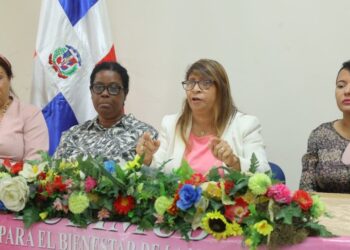 FUBIMUD y CONAORCI exigen al Gobierno el pago pendiente a las entidades sin fines de lucro Demandan mayor respaldo para prevenir la violencia de género