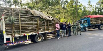 Soldados del Ejército incautan cargamento de madera sin documentación legal en Santiago