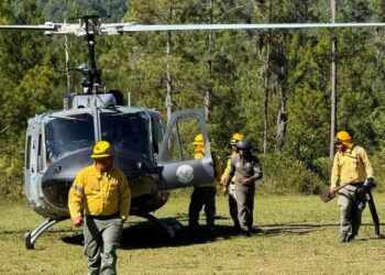 Medio Ambiente controla incendio forestal en el Valle del Tetero tras rápida intervención interinstitucional