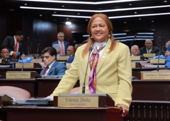 Diputados del PLD proponen interpelar al director del Servicio Nacional de Salud por muertes de niños en Maternidad La Altagracia