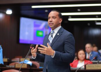 Bloque de diputados demanda auditoria técnica para cada distribuidora de electricidad